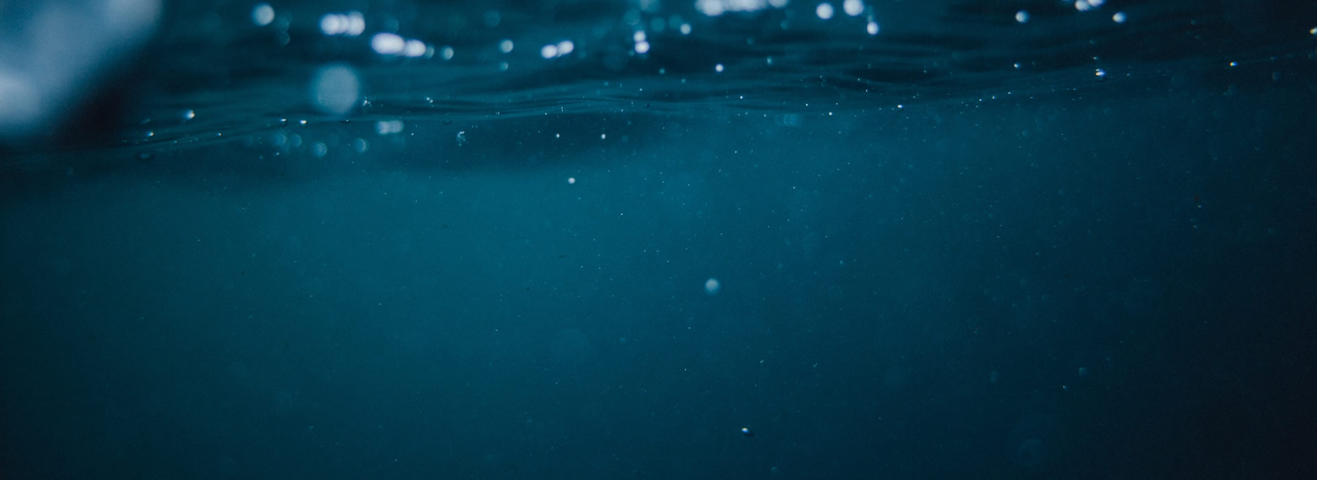 steadyeducation.co.uk